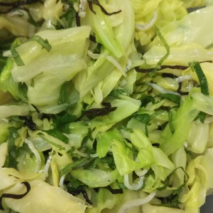 茹でキャベツとしらすのしそ昆布あえ